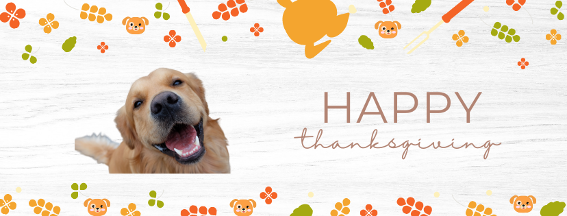 big dog puppies for adoption