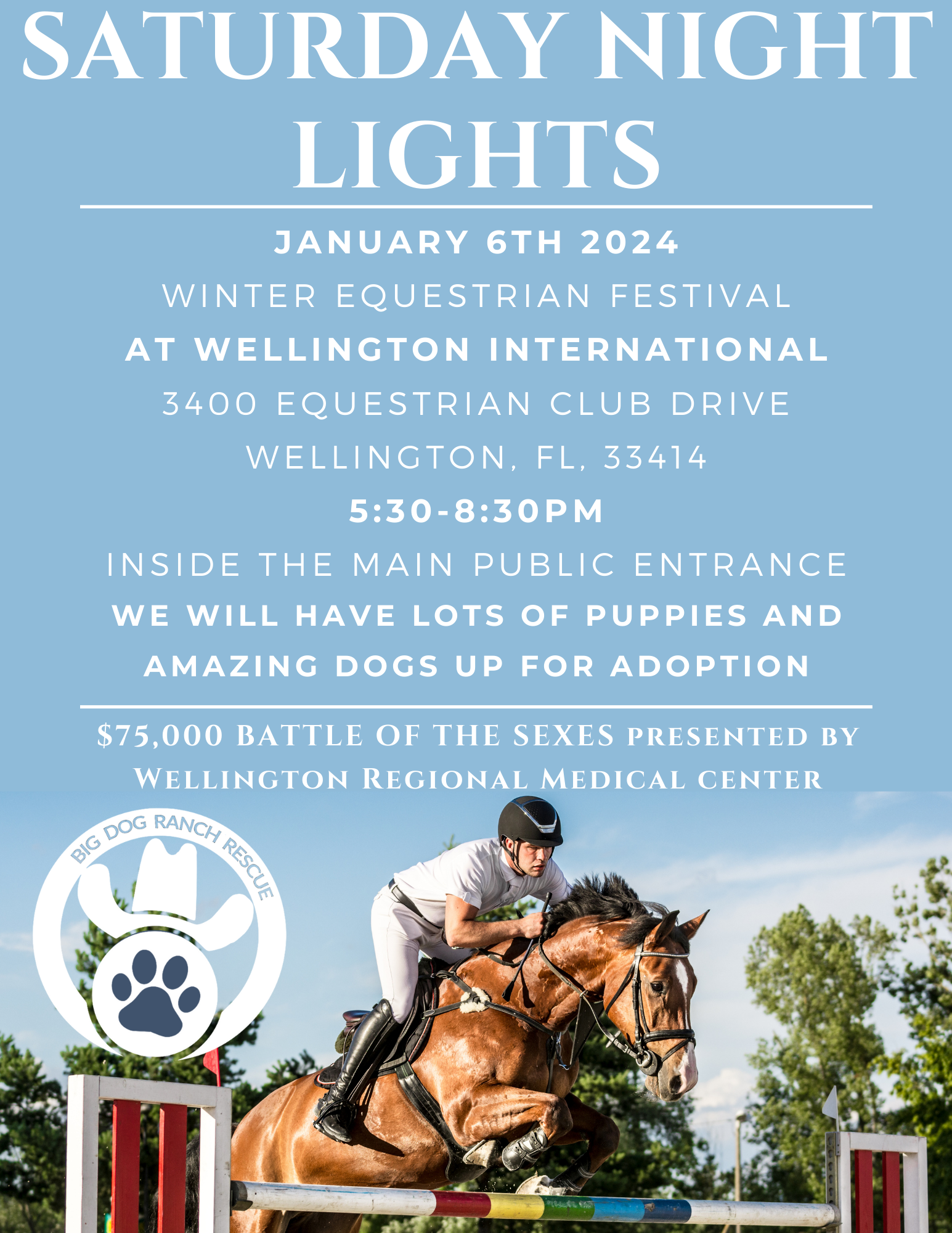 gear-up-for-the-winter-equestrian-festival-2025-the-ultimate-guide