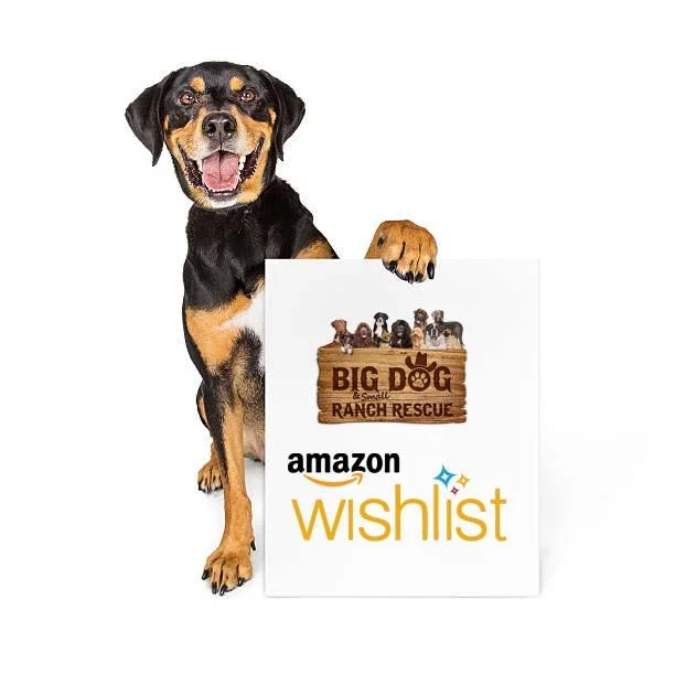 Amazon Wishlist - Big Dog Ranch Rescue Florida