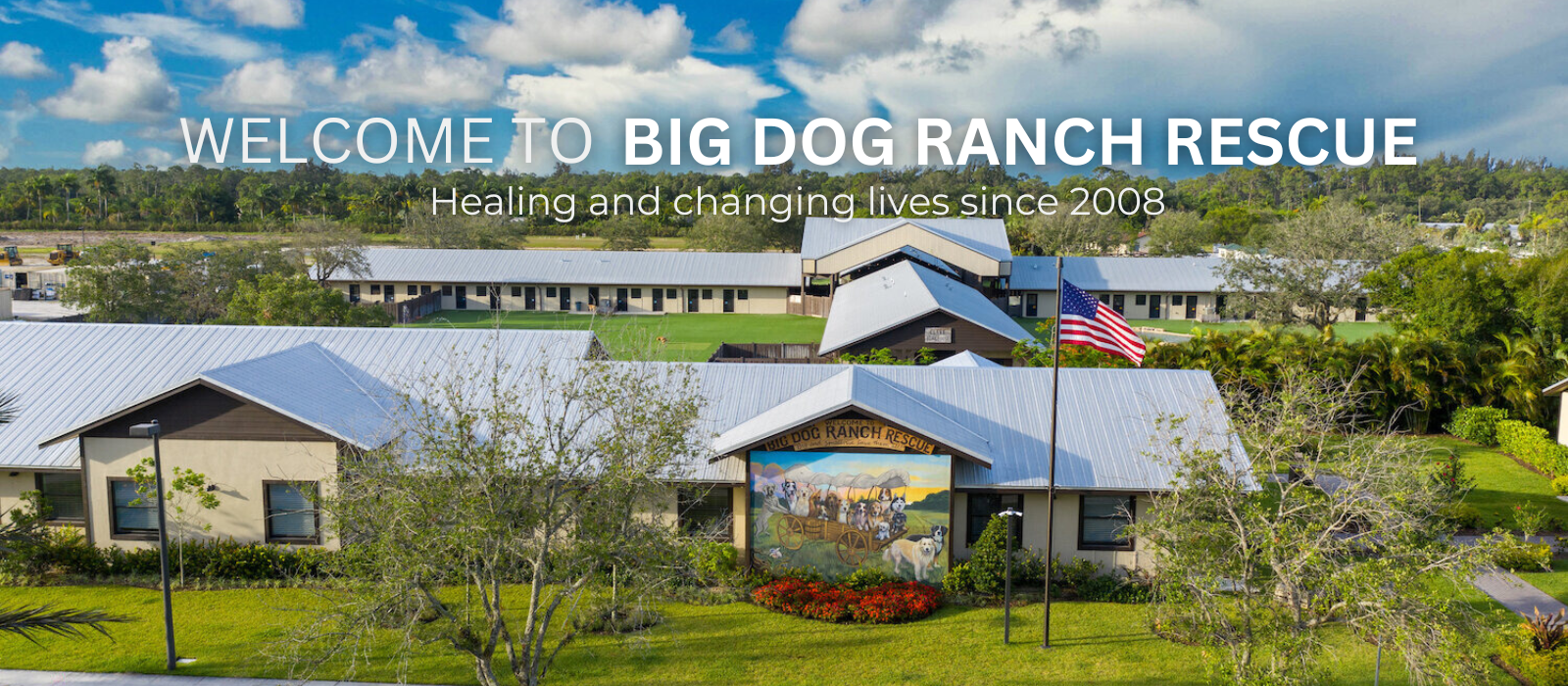 Dog Rescue | Big Dog Ranch Rescue