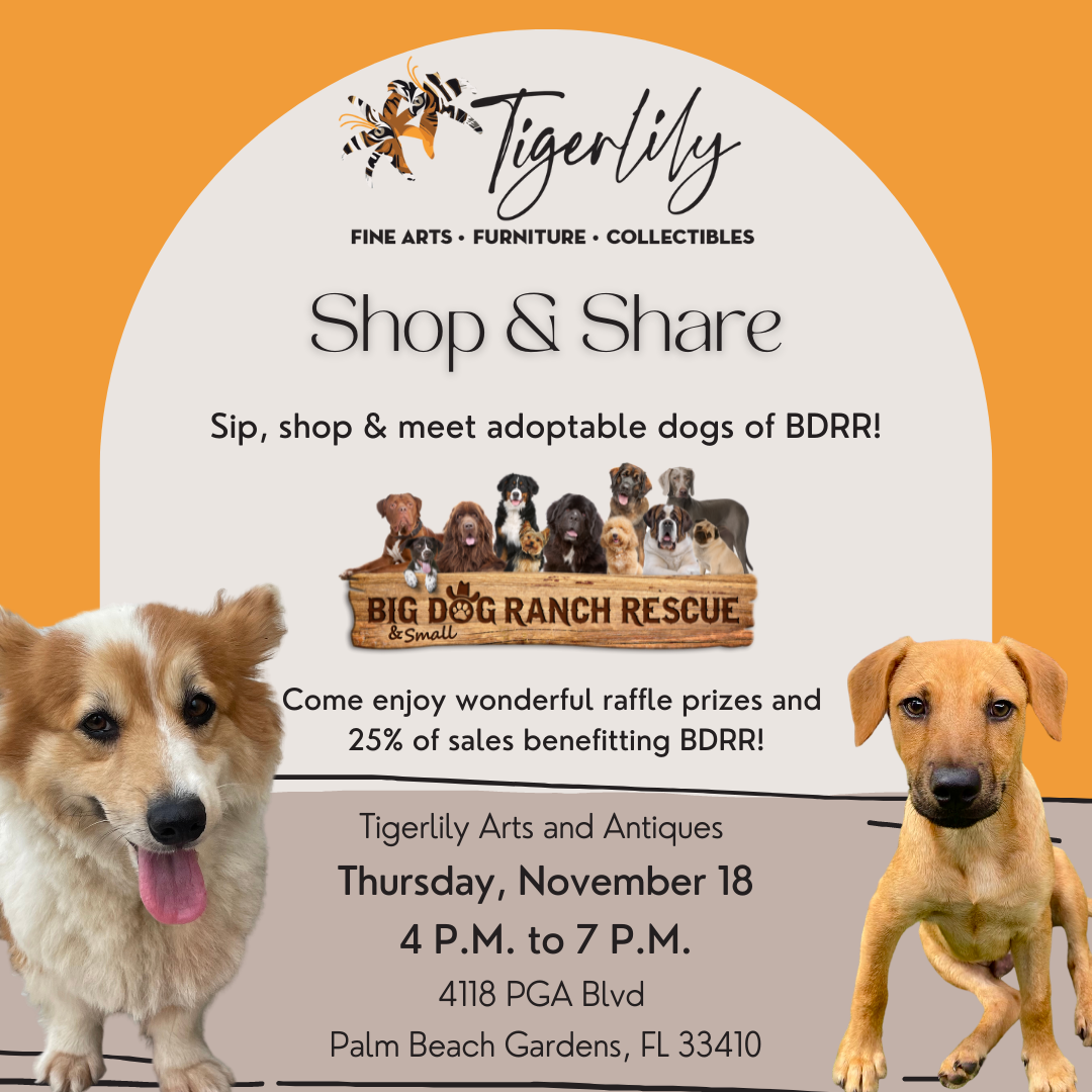Big Dog Ranch Rescue