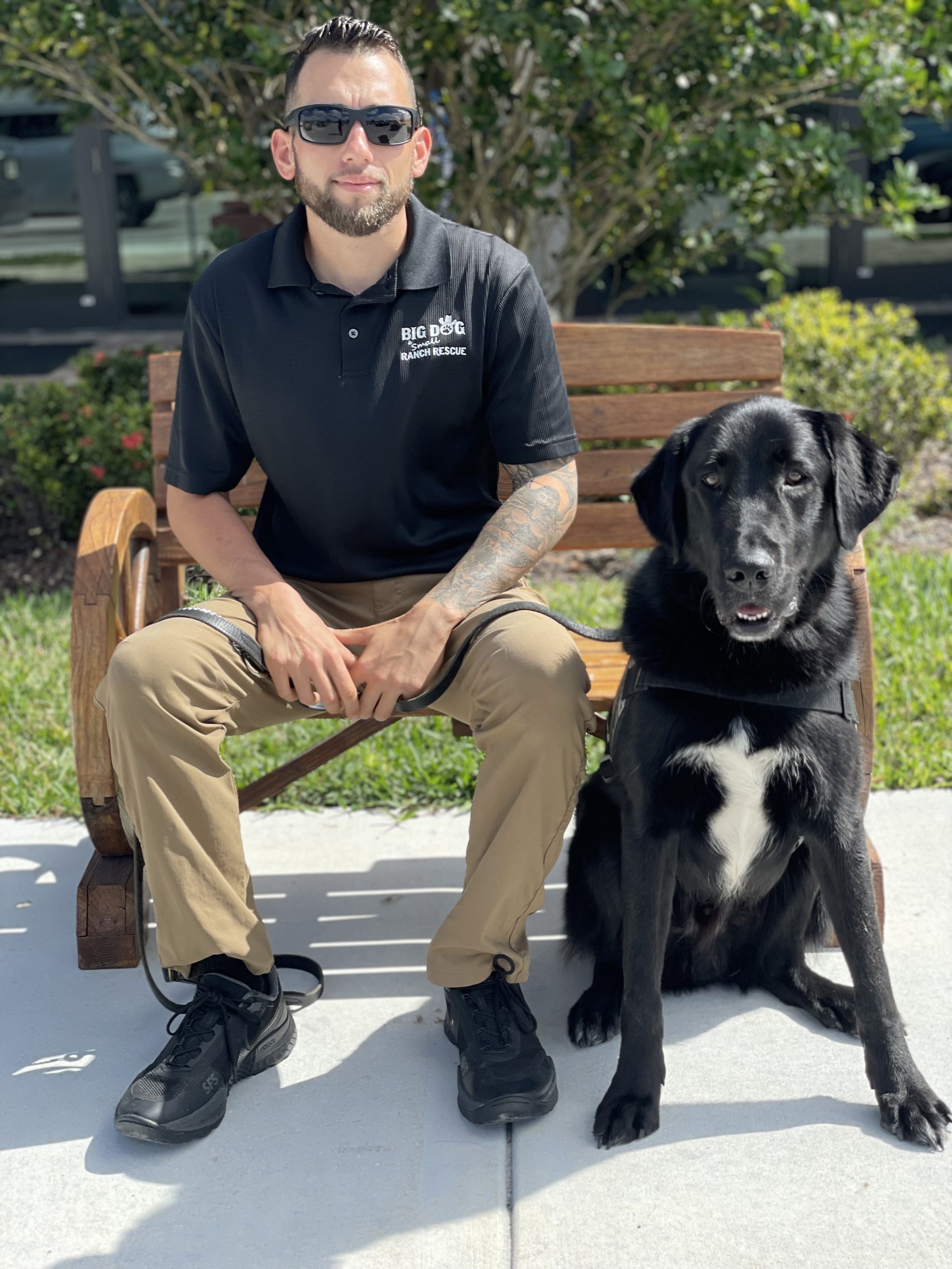 Veteran Dog Training