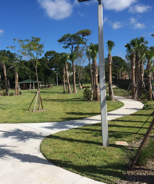 Best Dog Parks In South Florida