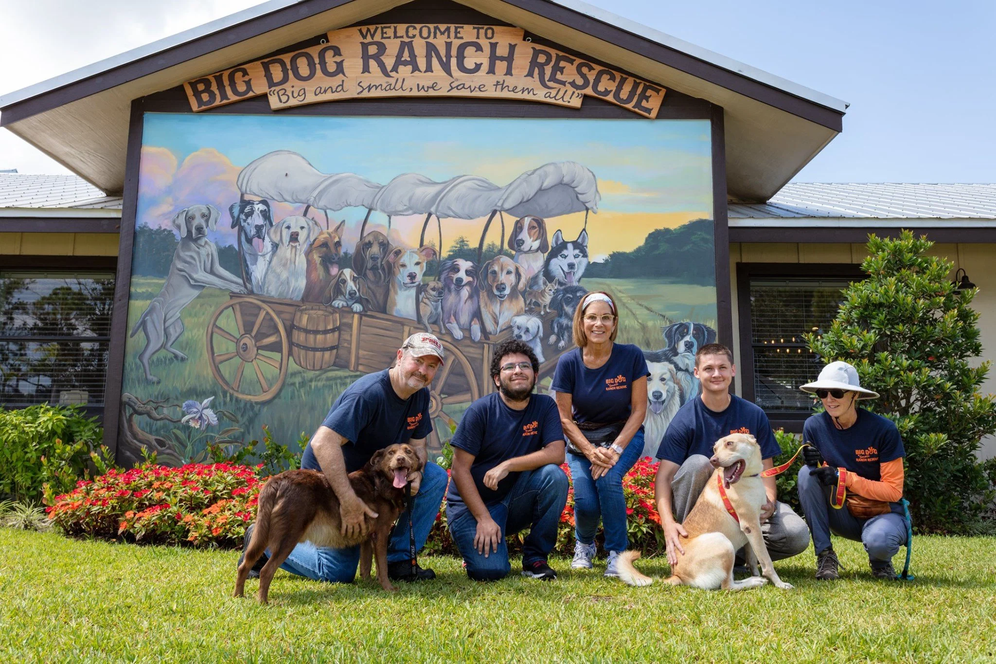 Big Dog Ranch Rescue