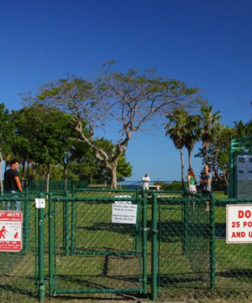 Best Dog Parks In South Florida