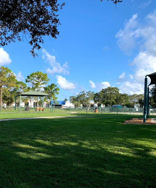 Best Dog Parks In South Florida