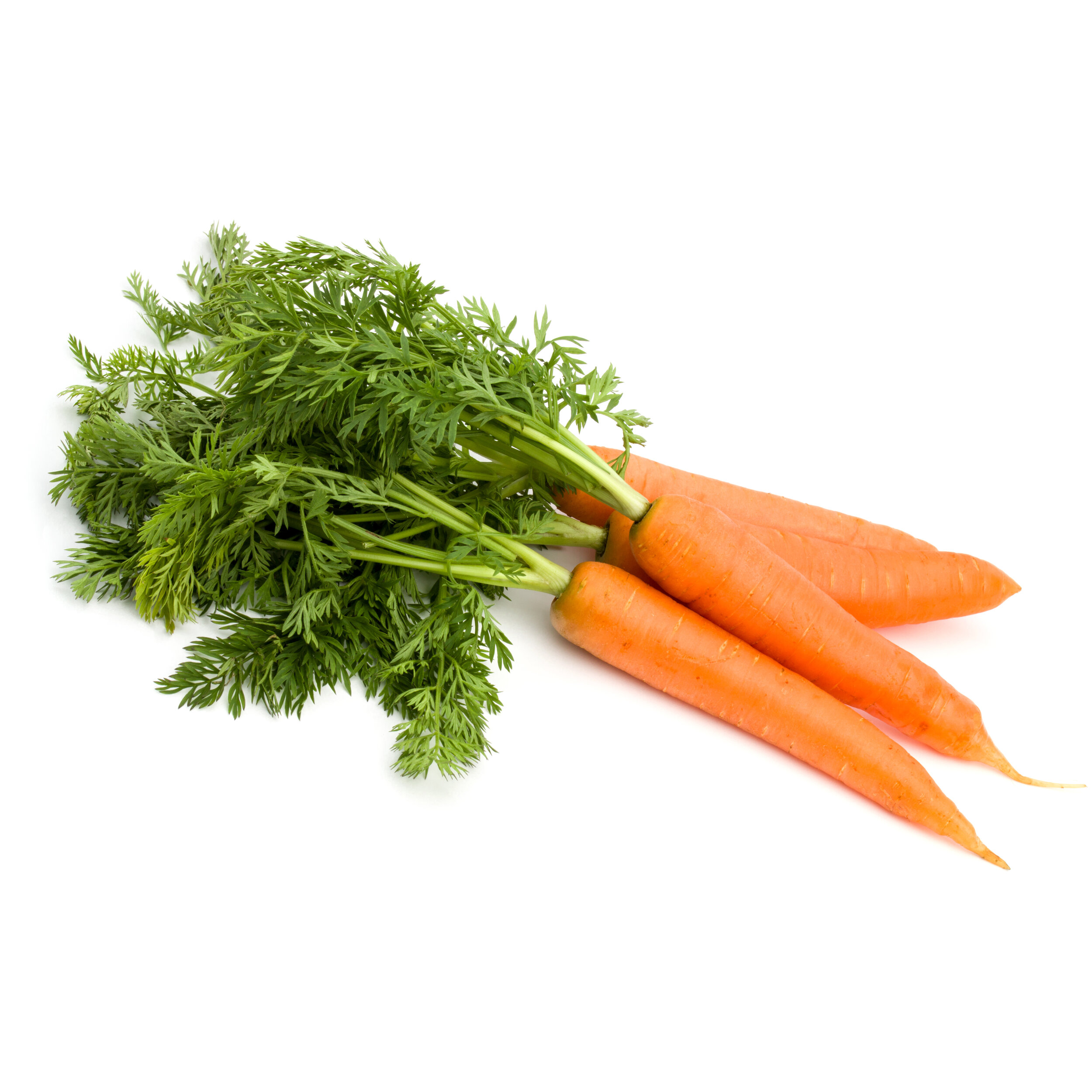 bigstock-Carrot-vegetable-with-leaves-i-286212622 (1).jpg