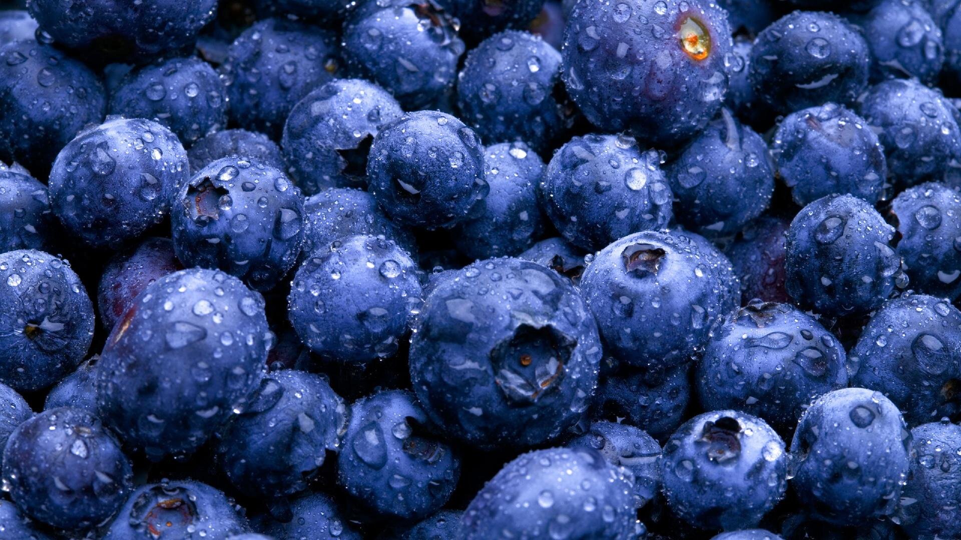 blueberries.jpg