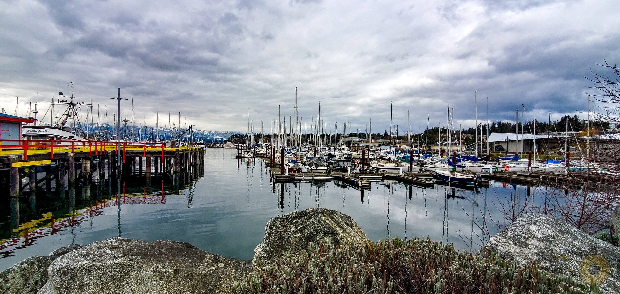 20210126_151815 copy.jpg