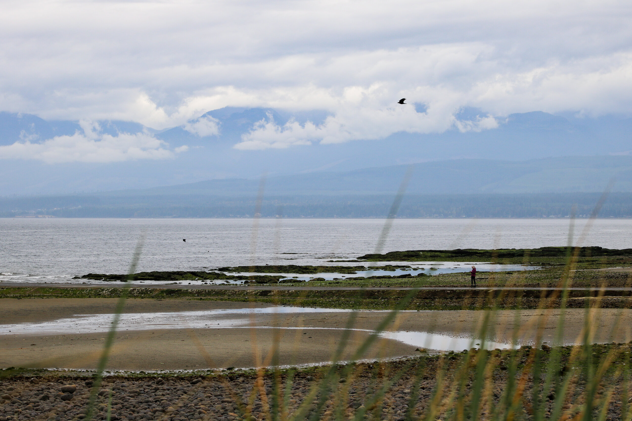 Point Holmes, Comox, British Columbia, Canada