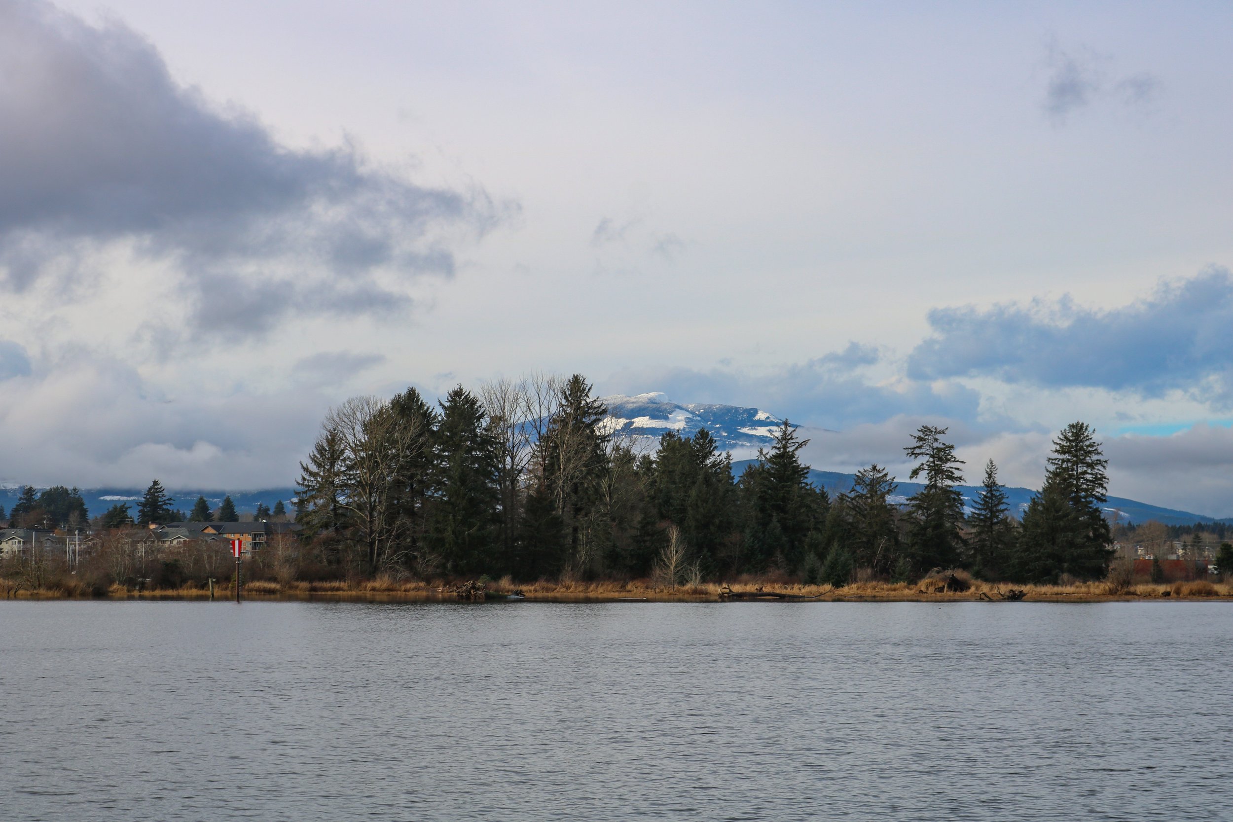 Courtenay River