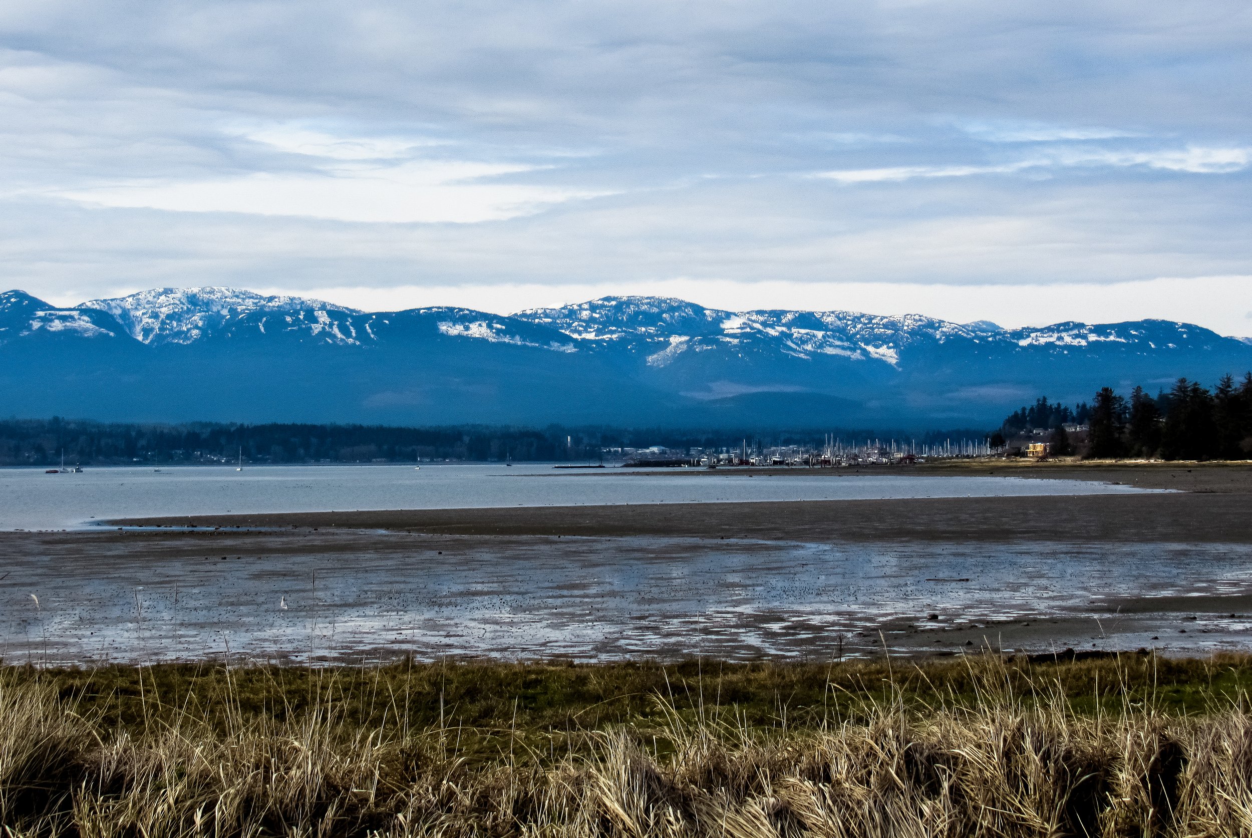 Goose Spit