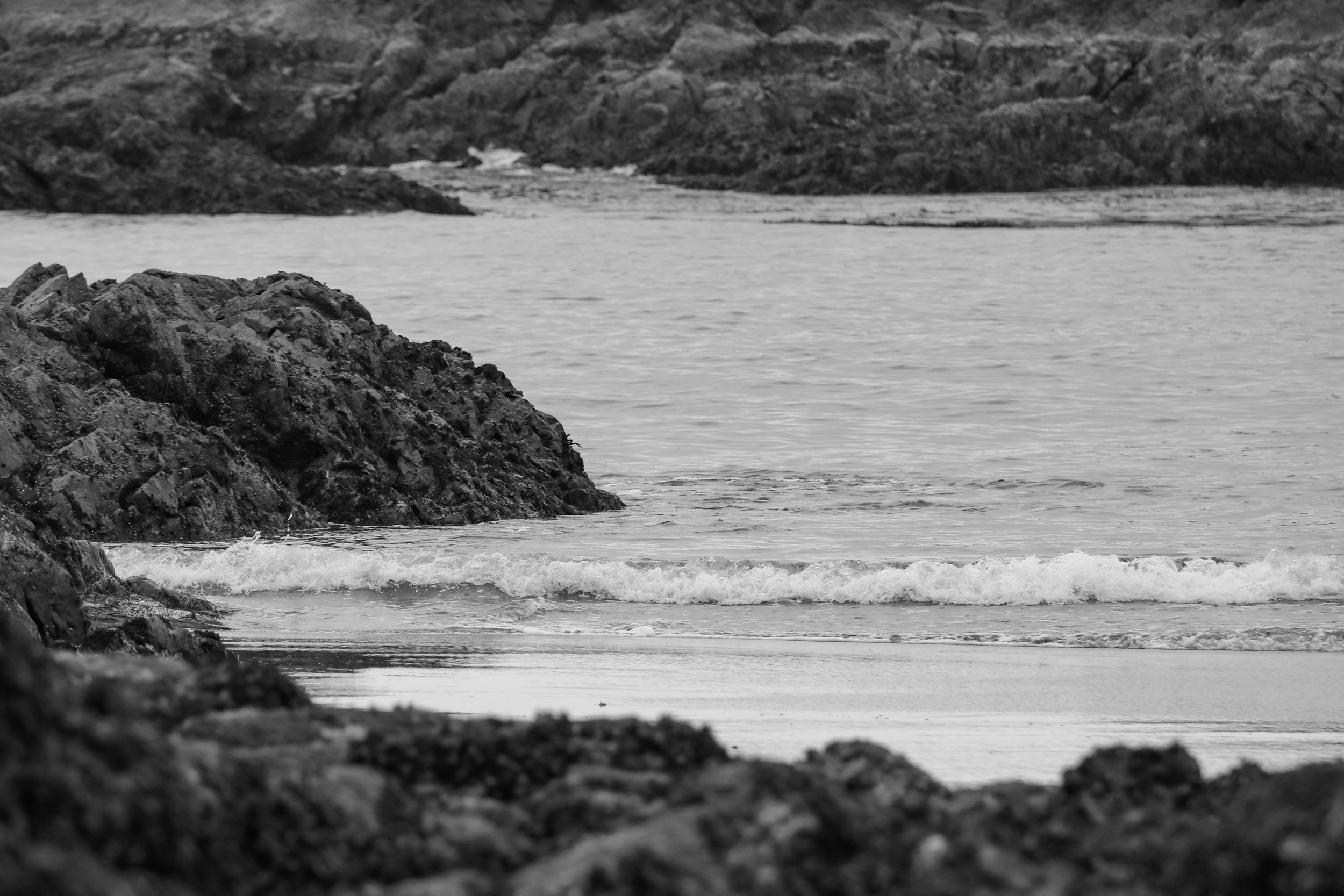 Tofino