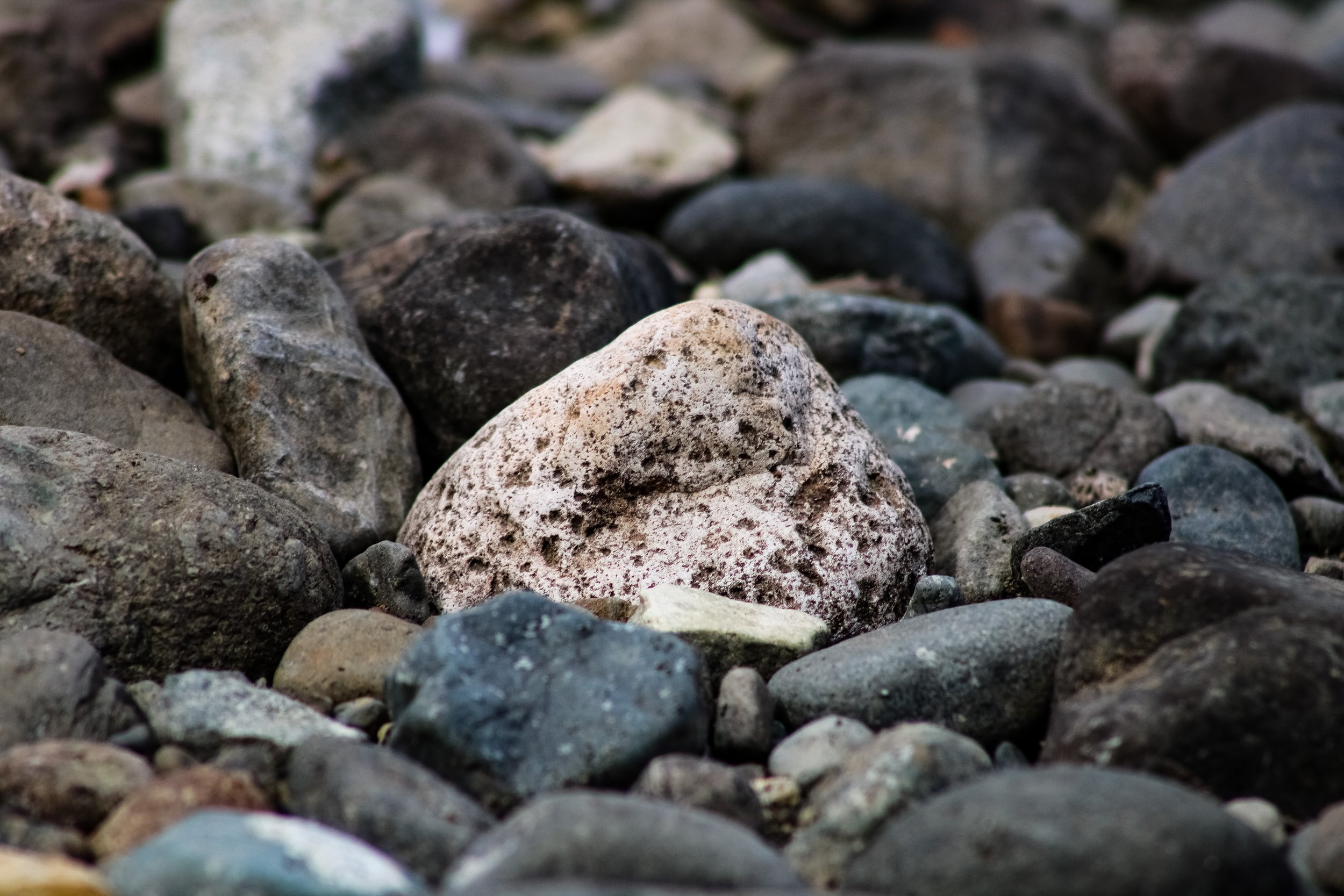 On the Rocks