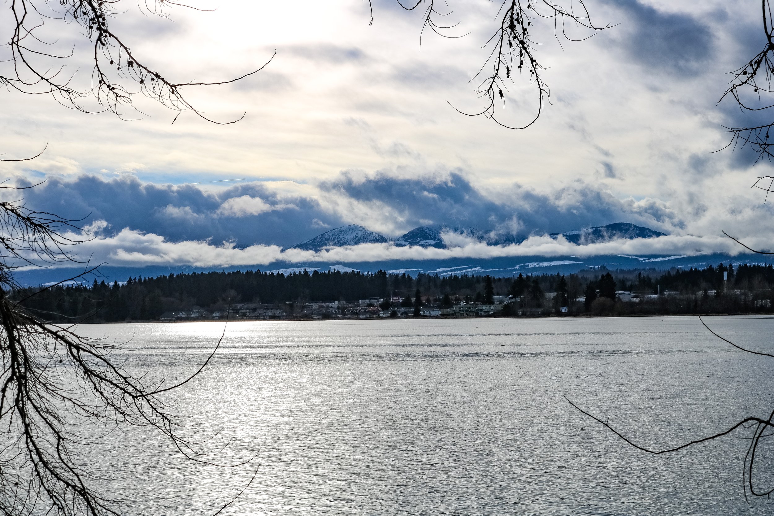 Courtenay River