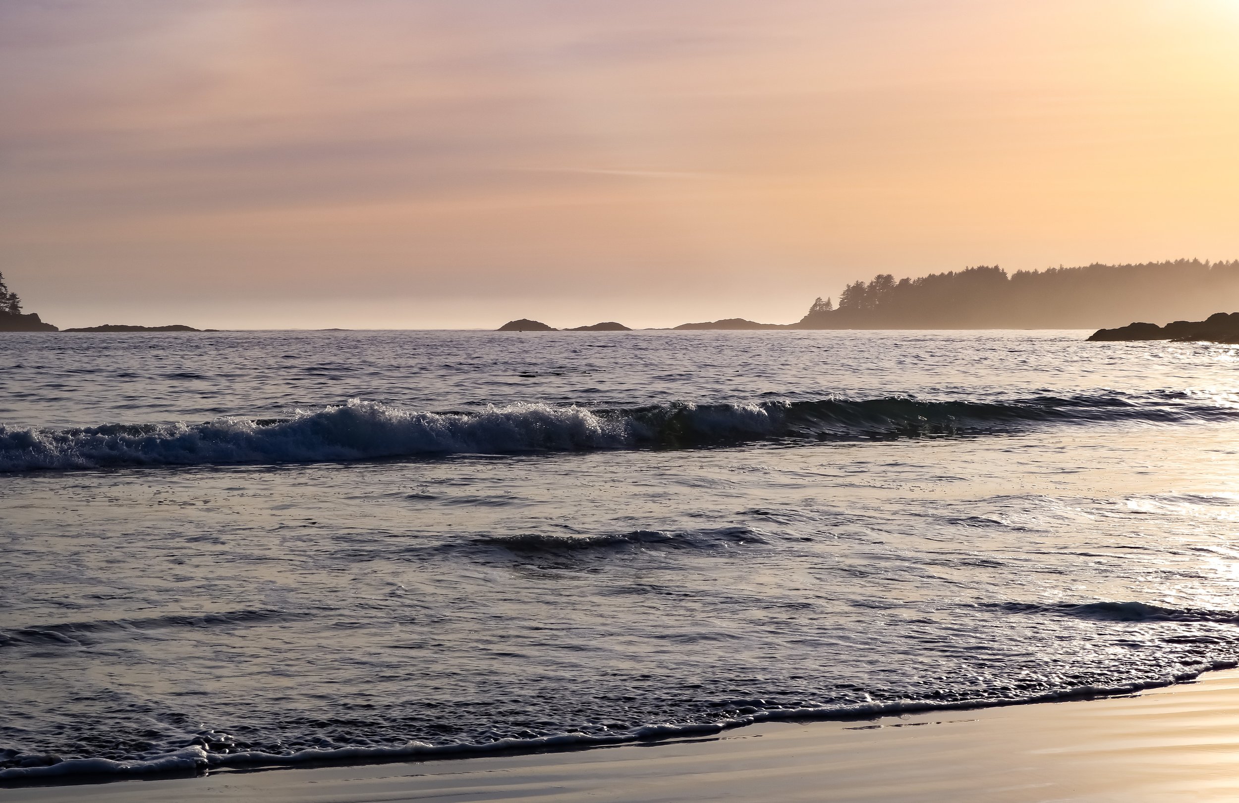 Tofino