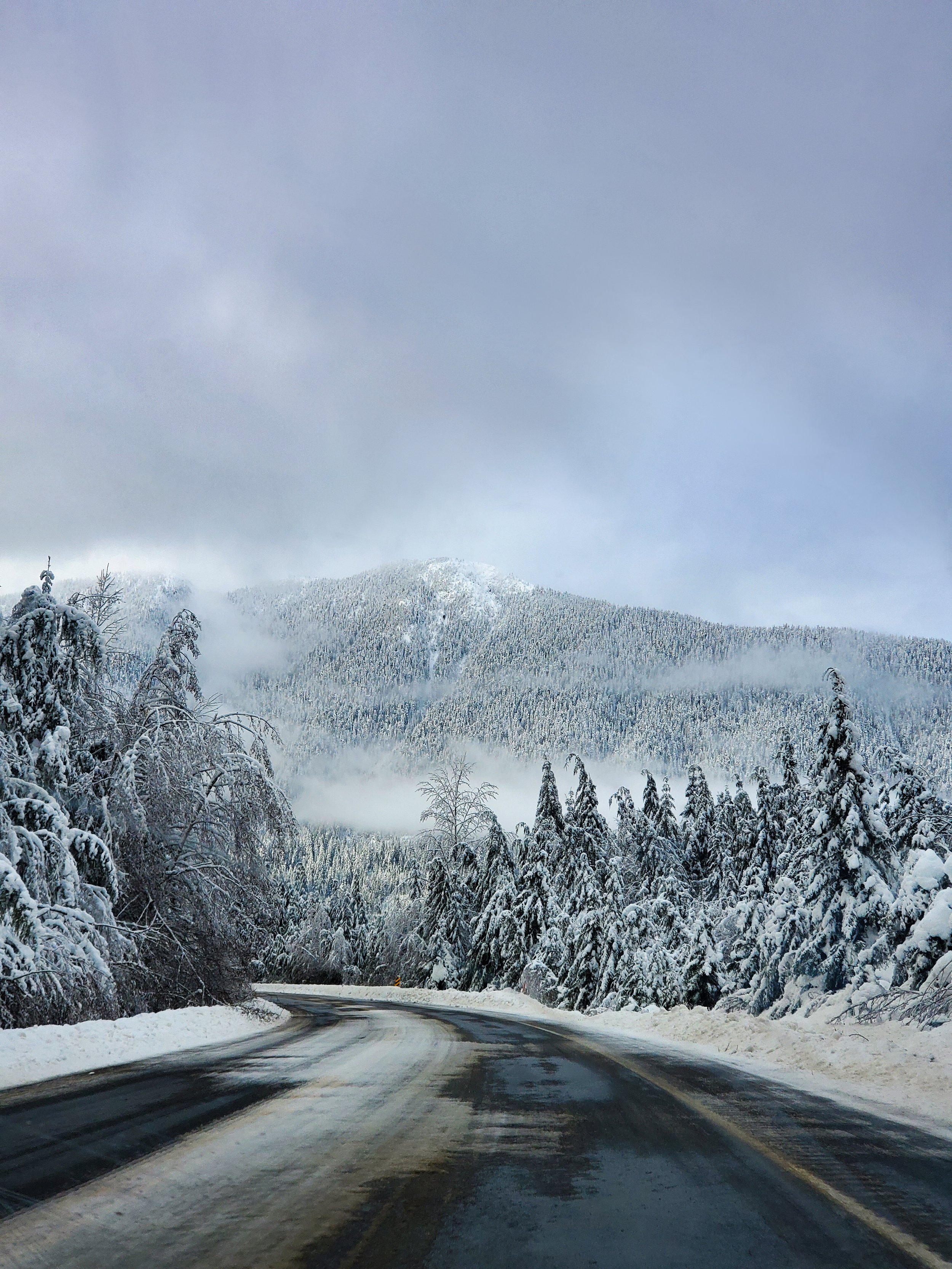 Winter Wonderland