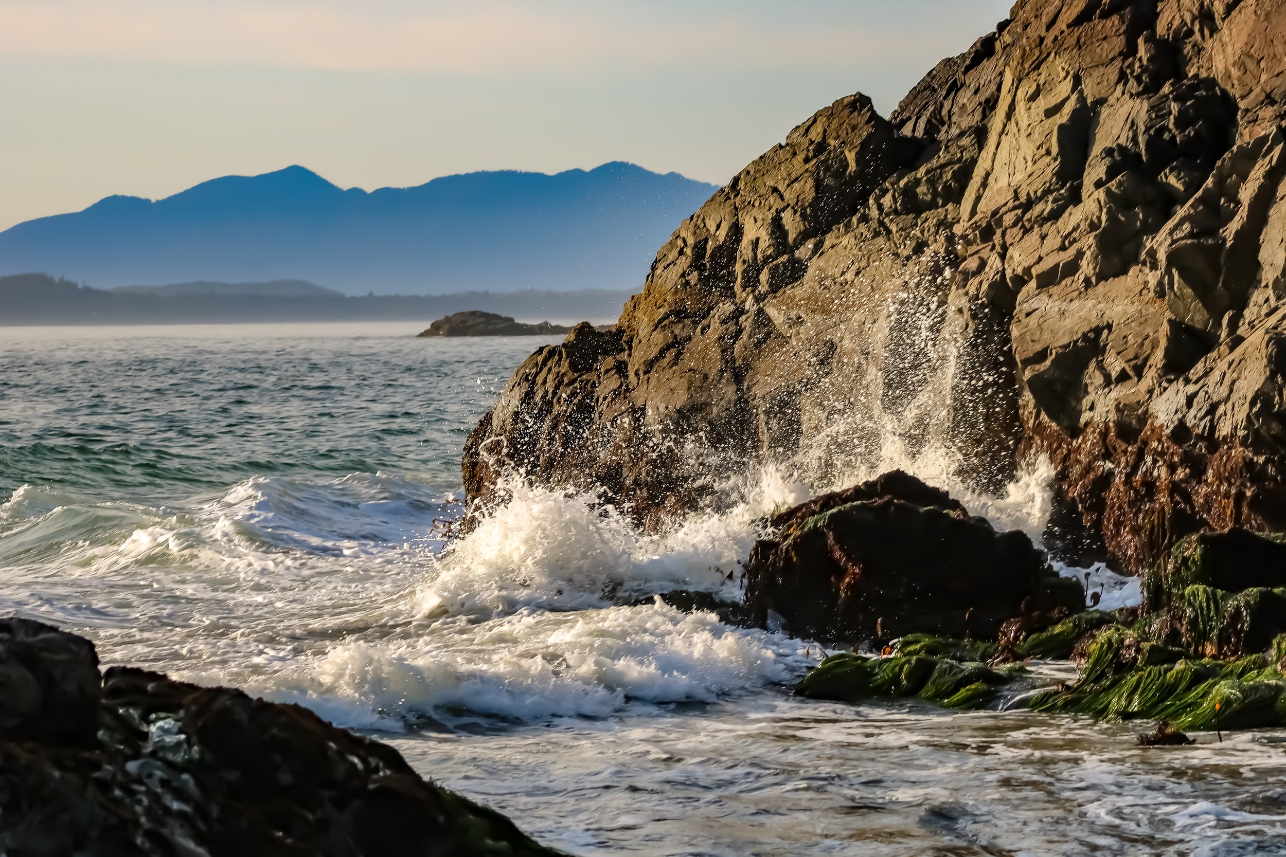 Tofino