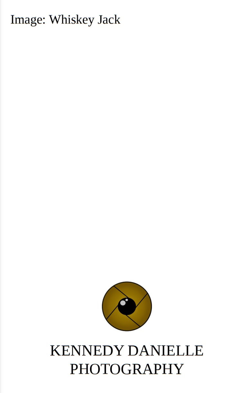 Whiskey Jack 3 (Back).jpg