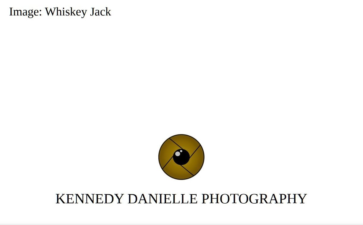 Whiskey+Jack+2+%28Back%29.jpg