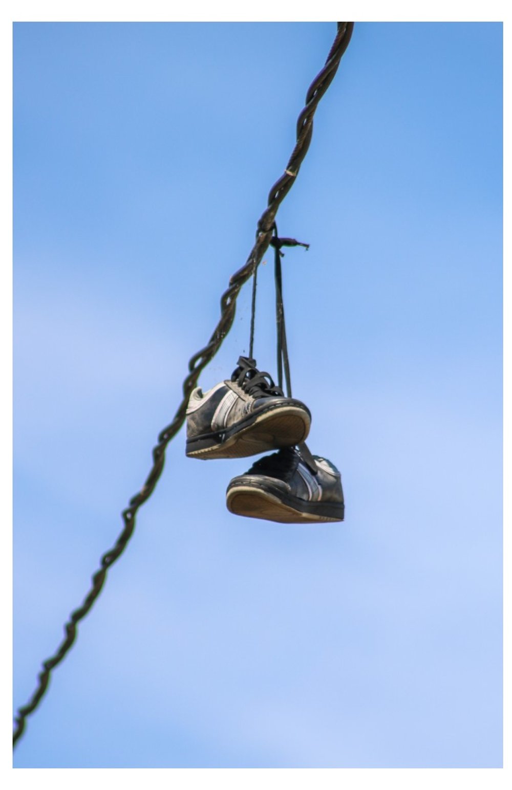 Walking the Wire - Card