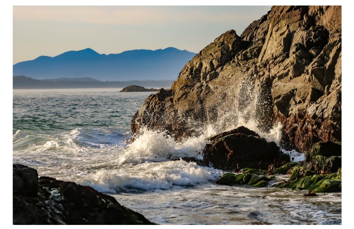 Tofino - Card