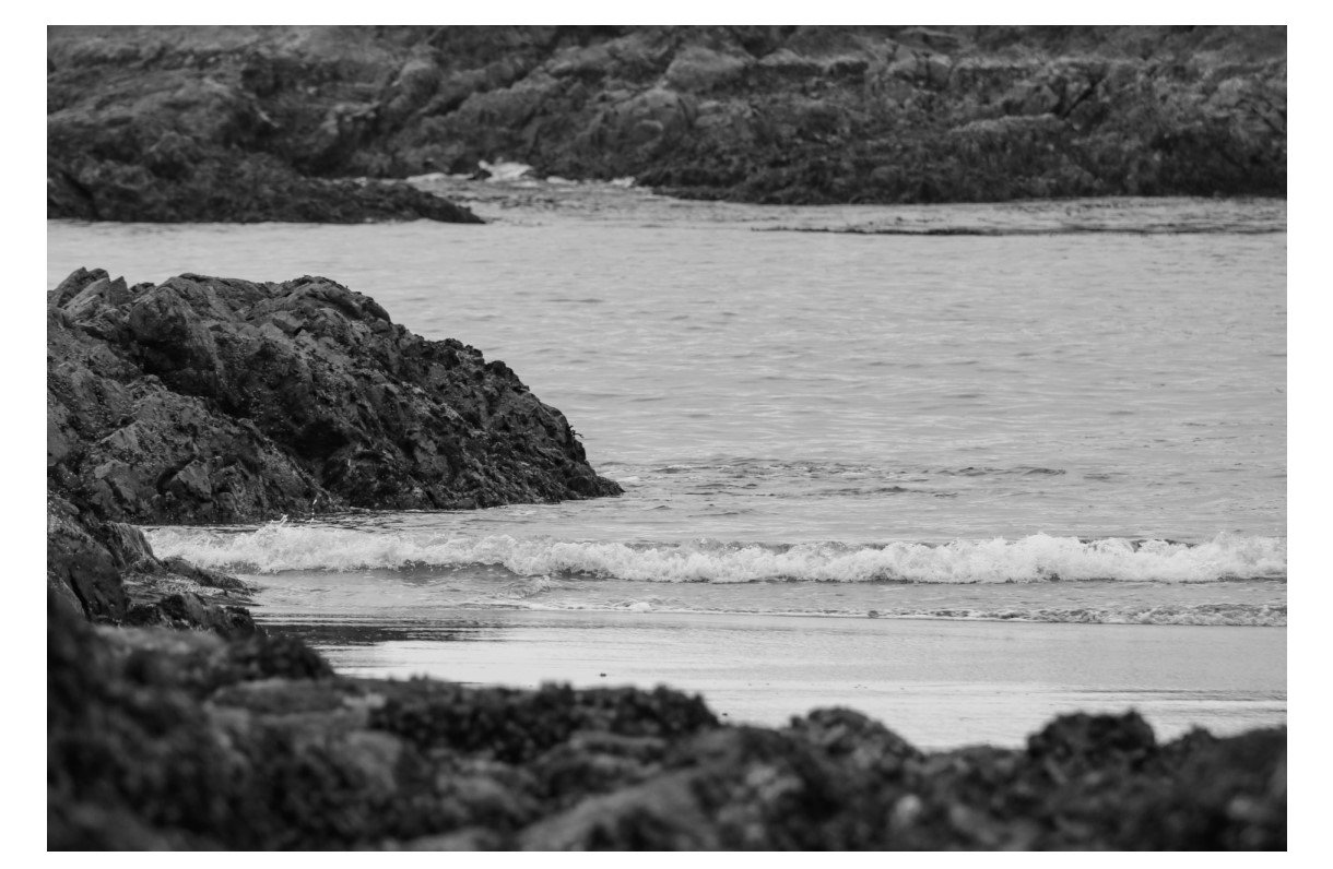 Tofino -Card