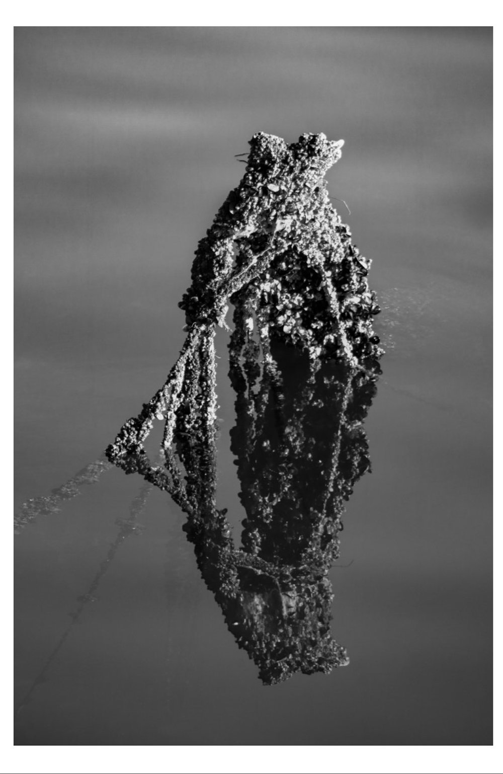 Sunken Reflections - Card