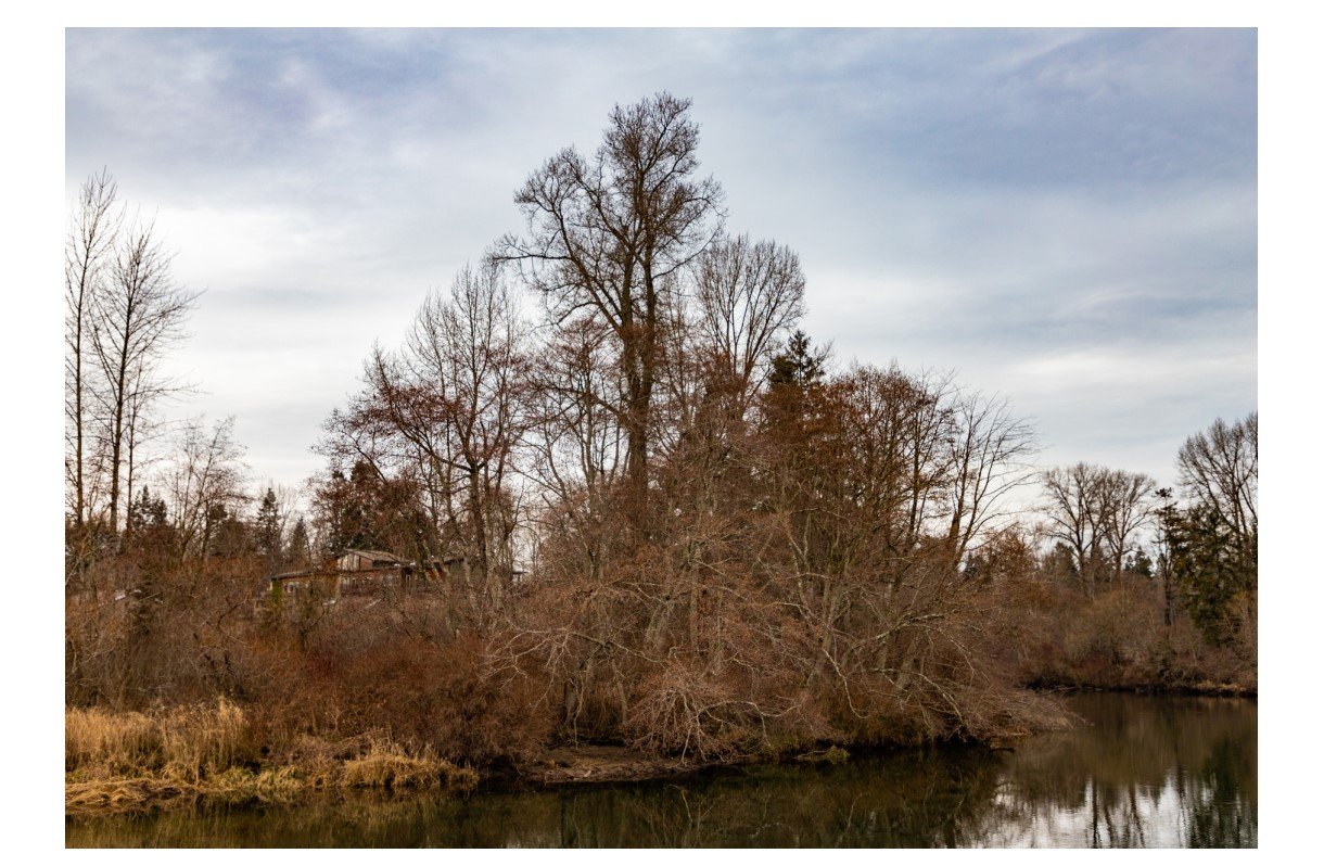 Puntledge River - Card