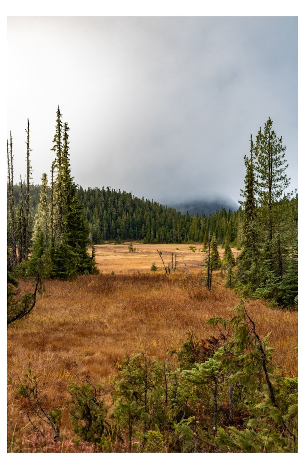 Mount Washington - Card