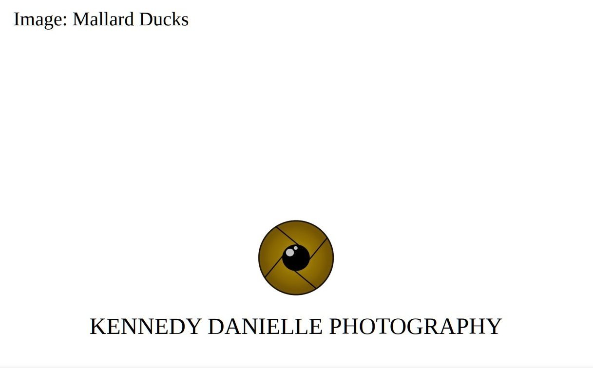 Mallard+Ducks+1+%28Back%29.jpg
