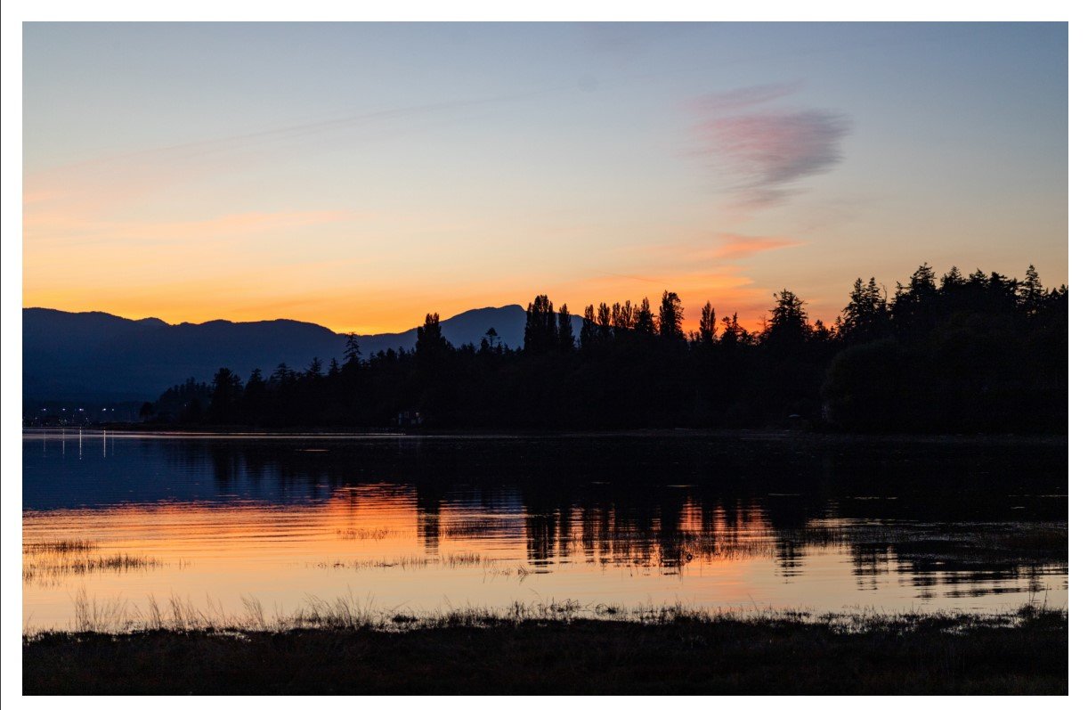 Goose Spit - Card