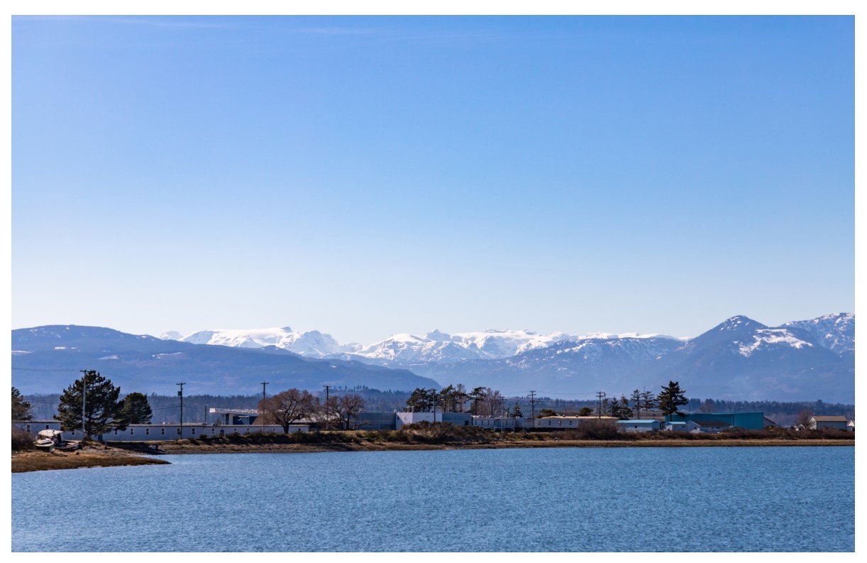 Goose Spit - Card
