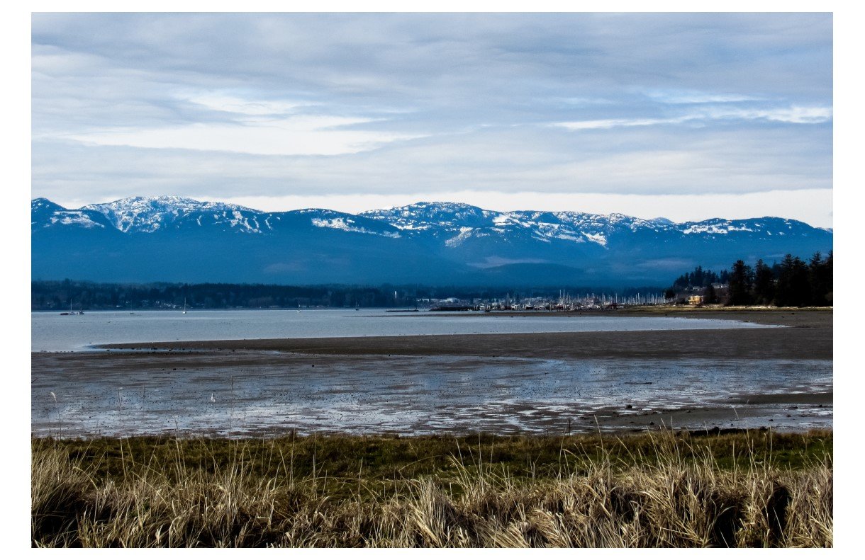 Goose Spit - Card