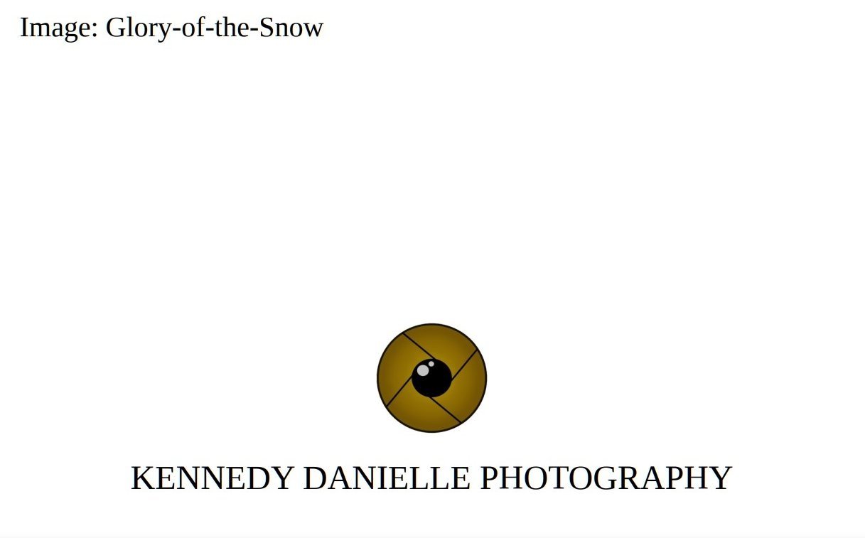 Glory-of-the-Snow+%28Back%29.jpg