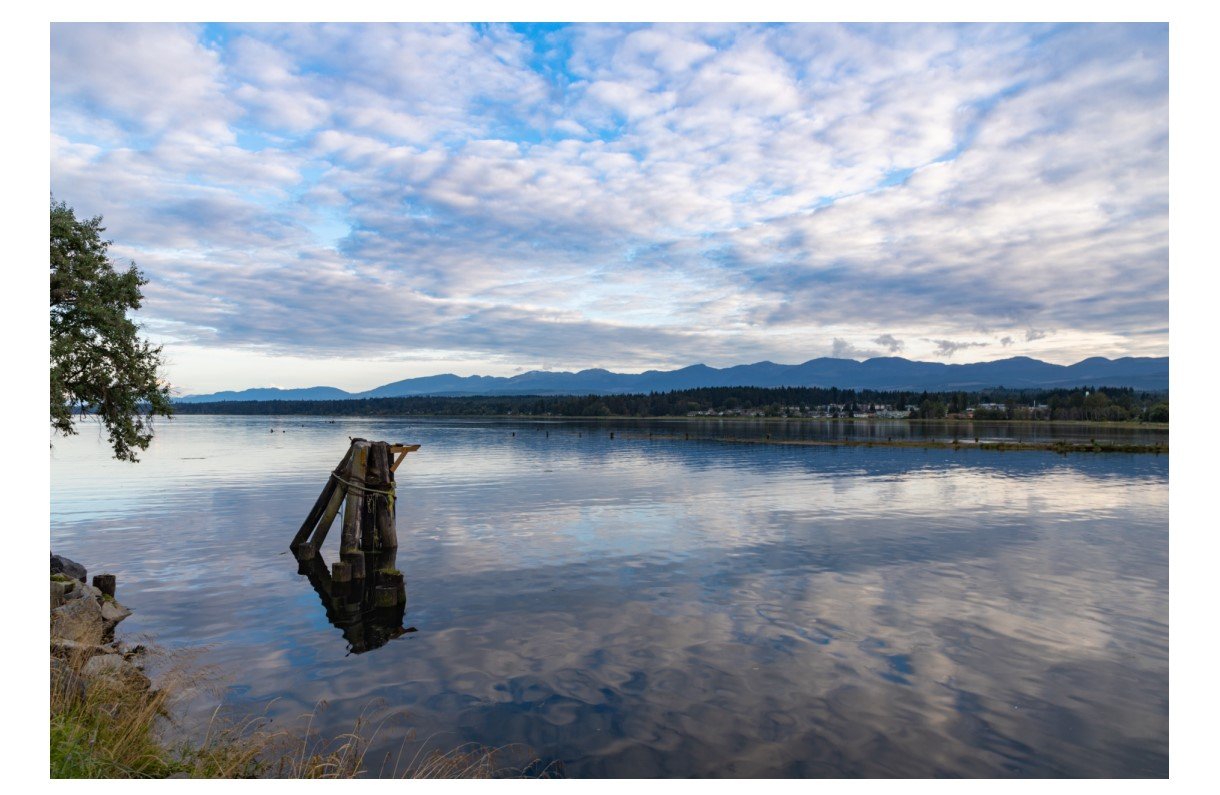 Courtenay River - Card
