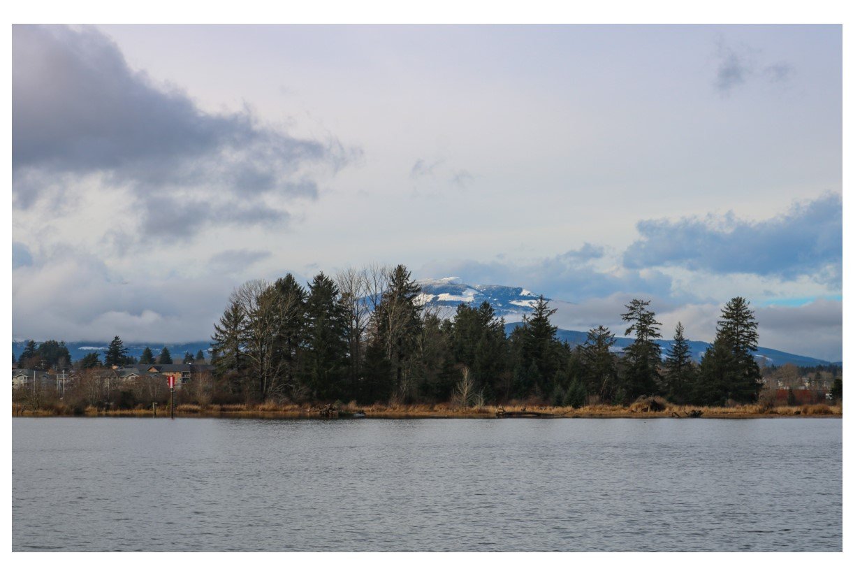 Courtenay River - Card