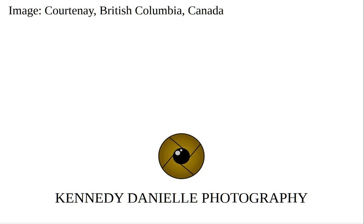 Courtenay+1+%28Back%29.jpg