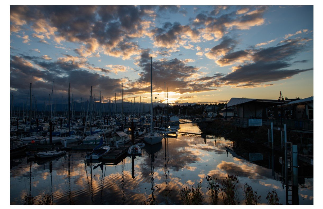 Comox Marina - Card