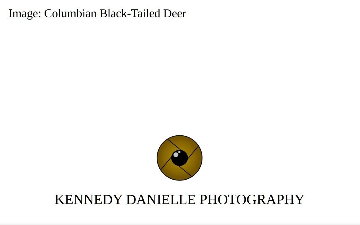 Columbian+Black-Tailed+Deer+%28Back%29.jpg