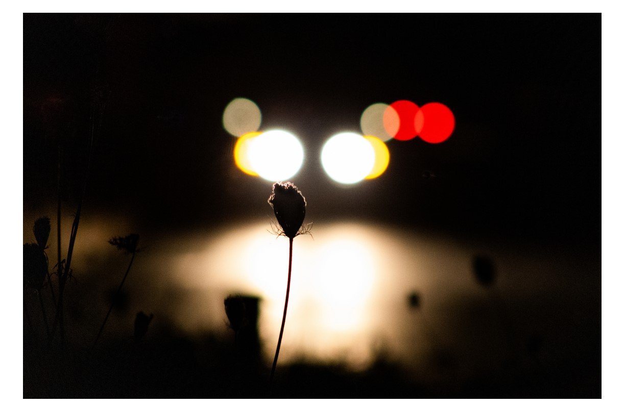 Caught In The Headlights (Front).jpg