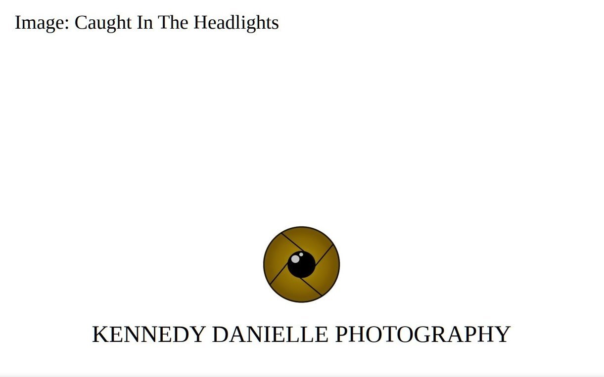Caught+In+The+Headlights+%28Back%29.jpg