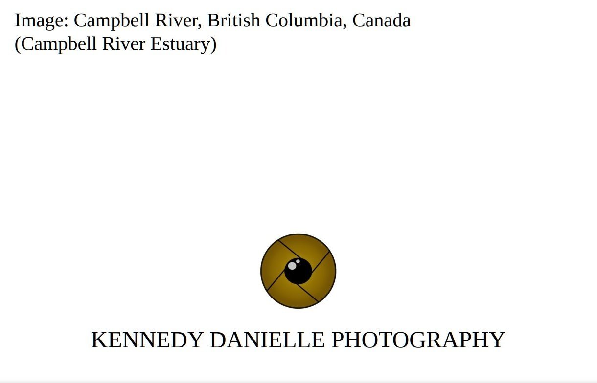 Campbell+River+Estuary+%28Back%29.jpg