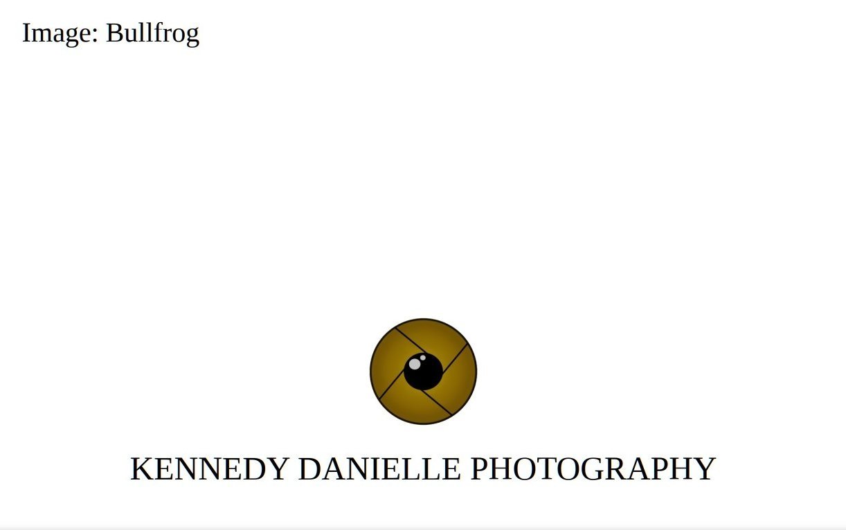 Bullfrog+%28Back%29.jpg