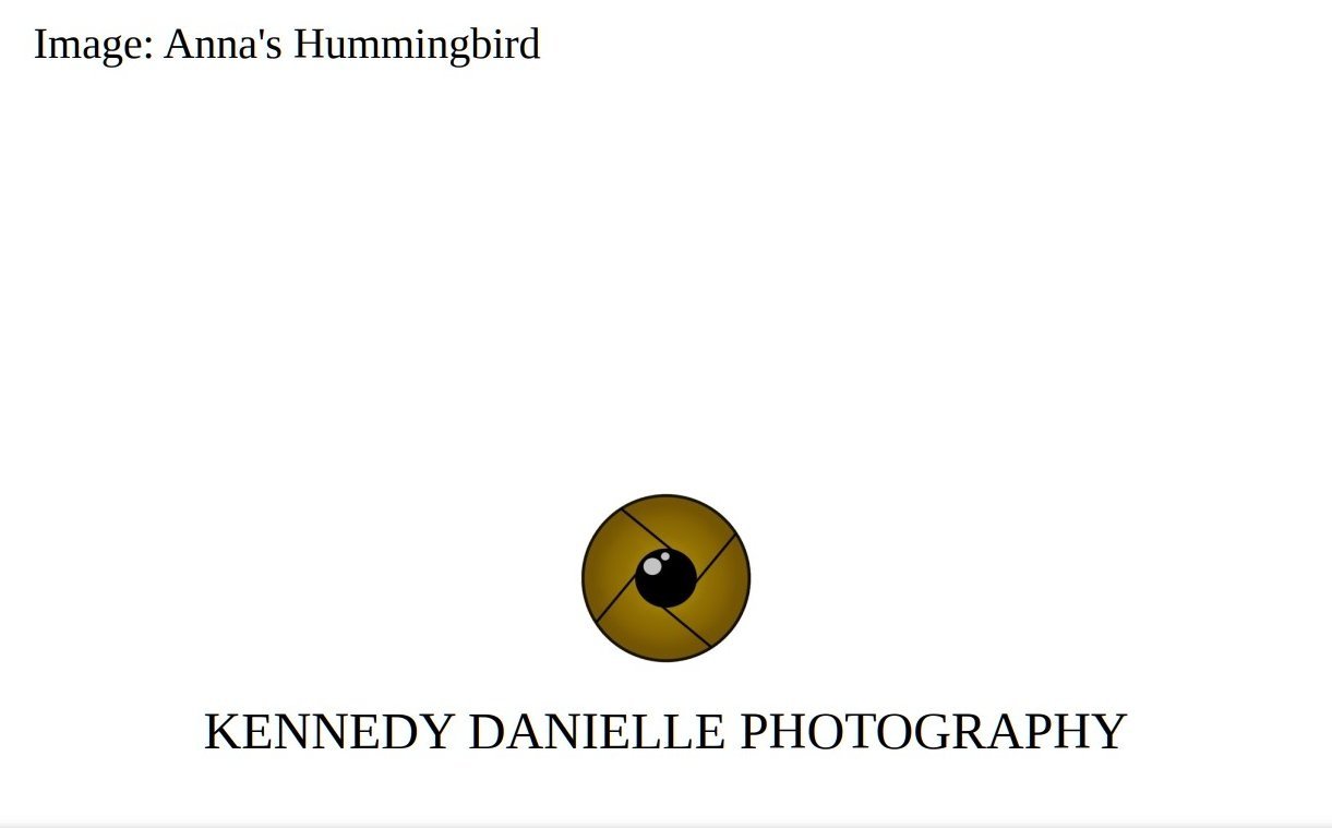 Anna%27s+Hummingbird+%28Back%29.jpg