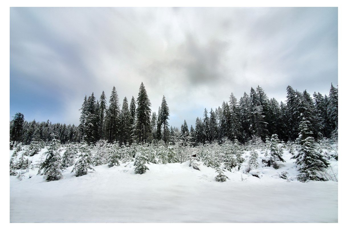 Snowy Roadside - Card