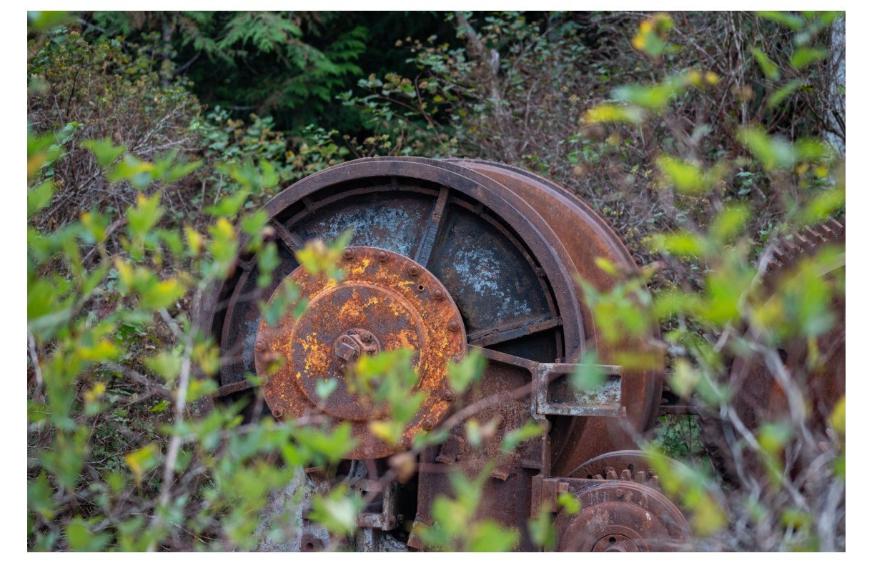 Abandoned - Card