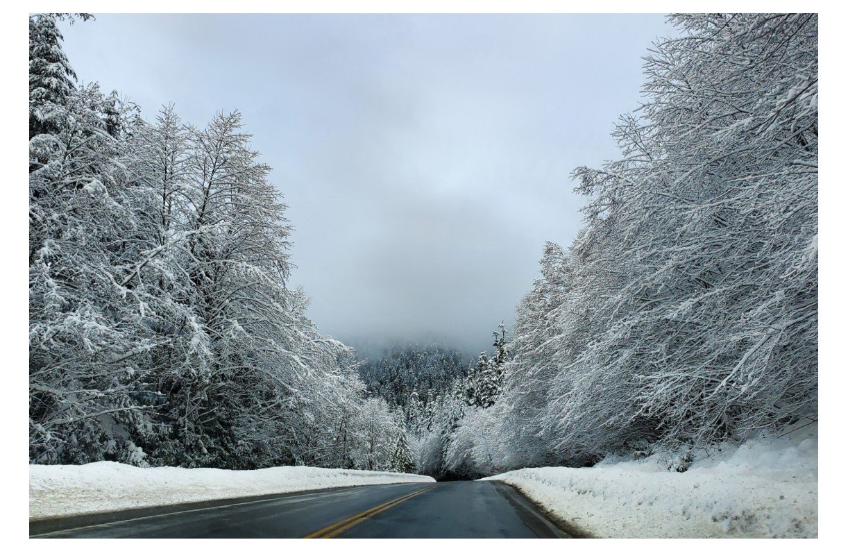 Winter Wonderland - Card