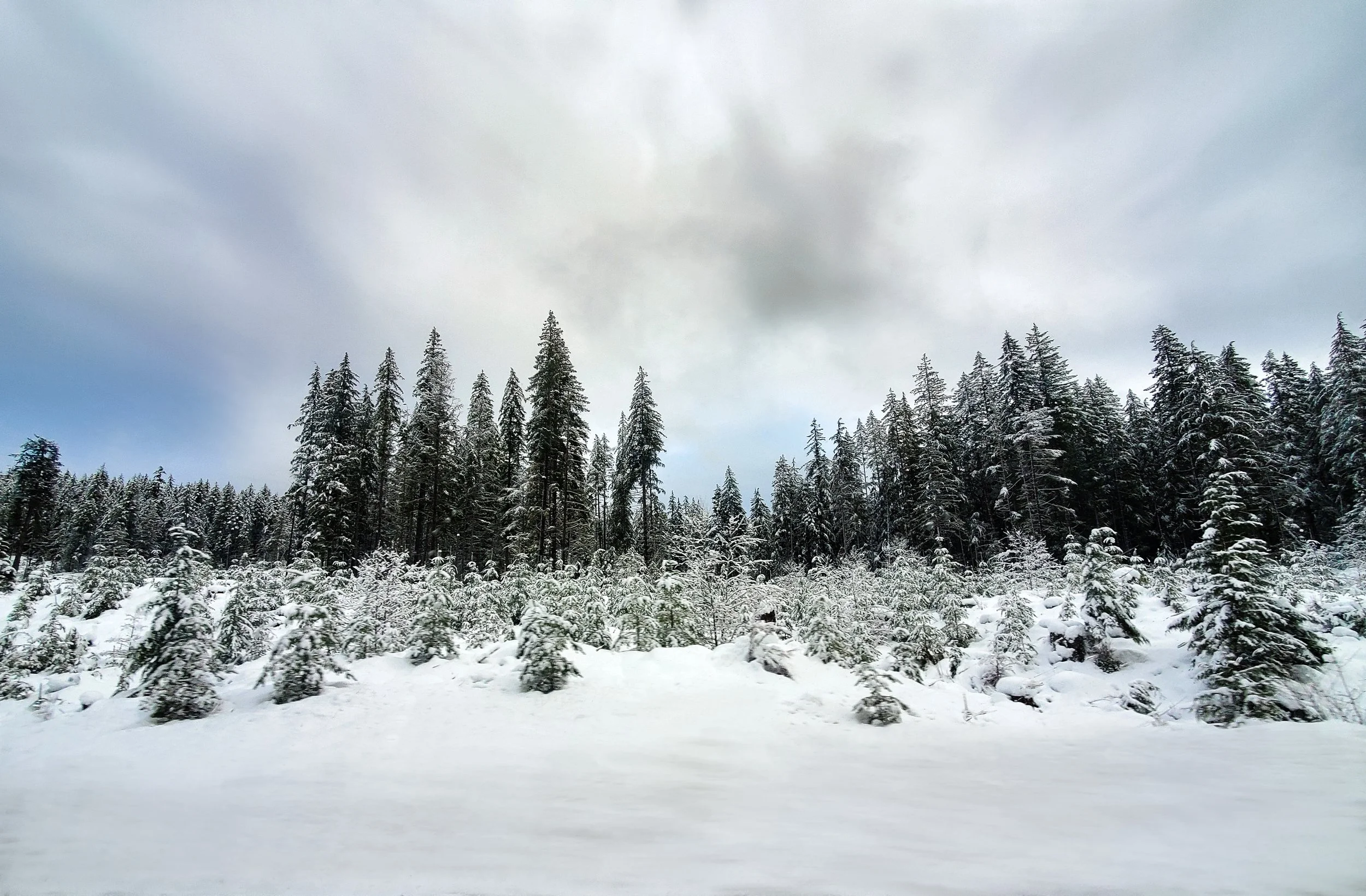 Vancouver Island, British Columbia, Canada