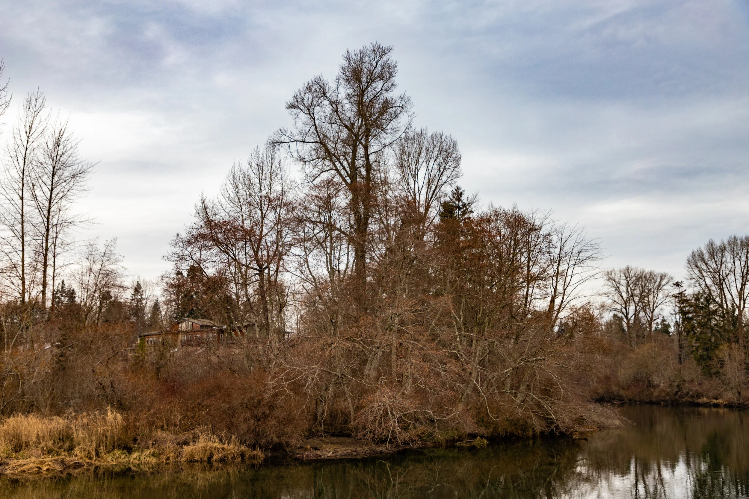 Puntledge River, Courtenay, British Columbia, Canada